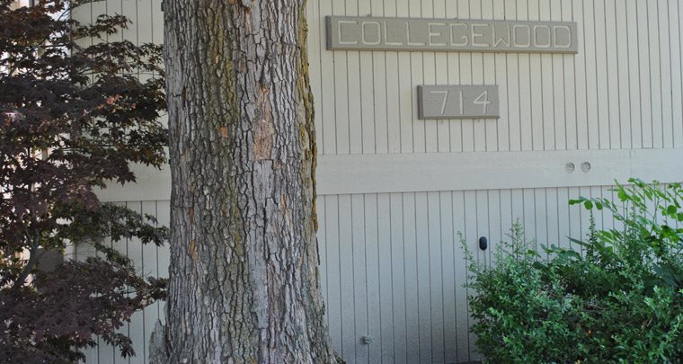 Collegewood Place Apartments In Spokane Wa Spokane Homepagegallery 1